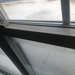 Obviously no one wipes the window sills down