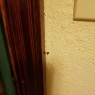 Dents and marks on the wall