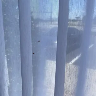 Dirty curtains