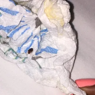 Bed bug found in my bed at the hotel