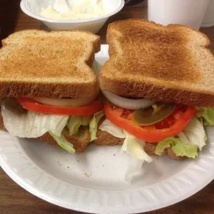 a sandwich on a paper plate