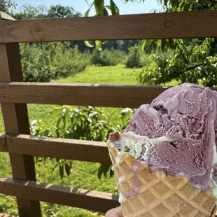 Black Raspberry and pistachio yum!