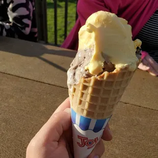 Waffle cone (Honey and Cookies &amp; Cream)