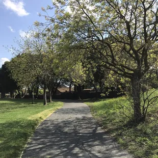 Nice place to walk your dogs!