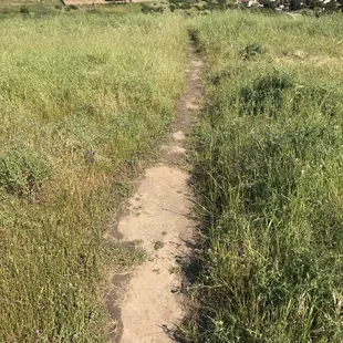 Going back down to the park