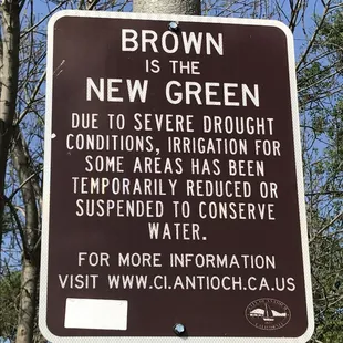 Brown is the new green at the park!
