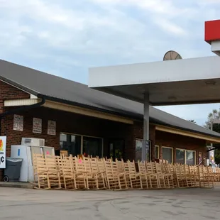 A Long Tailed Cats Nightmare