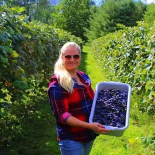 a woman holding a basket of blueberries