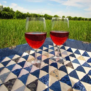 A shady spot with a view of the vineyard