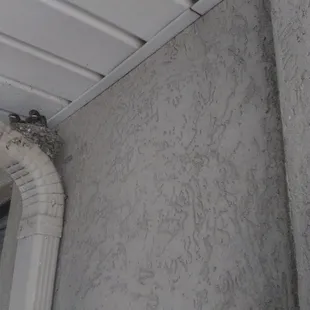 a bird perched on the corner of a building