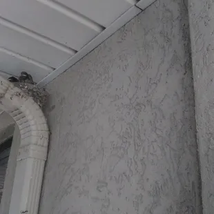 a bird sitting on the corner of a building