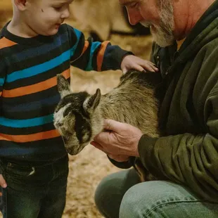 Petting Zoo