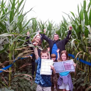 Giant corn maze