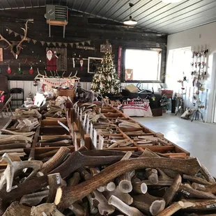 HUGE selection of elk antler dog bones in our Christmas store! CST Antlers. Big Elk antlers for dogs to chew on!