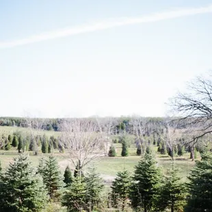 Country Side Trees, Walworth, WI - Cut your own Christmas tree or choose from a fresh cut tree. White Pine. Blue Spruce. Scotch Pine. Fir.