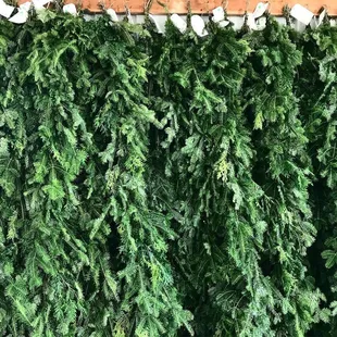 Evergreen garland handmade here on the farm! Various lengths. Walworth, WI close drive from Lake Geneva, Delavan, Fontana.