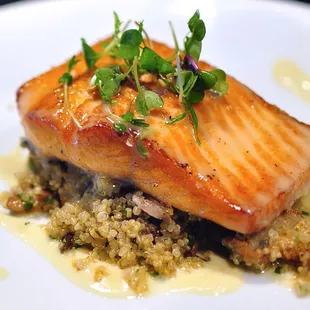 Broiled Salmon Fillet