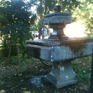 Decorative fountain in shared space.