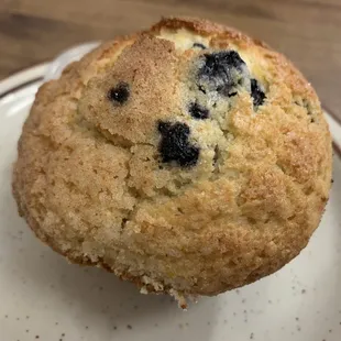 Freshly baked blueberry muffin. How can you stop at one?  So good!
