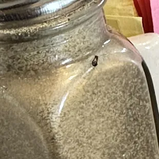 Love the baby cockroaches on the ends of the tables