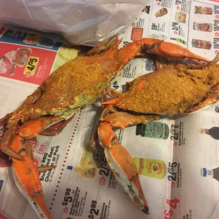 #1 males - very meaty