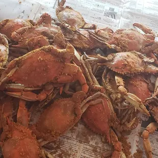 A really great treat and meaty!