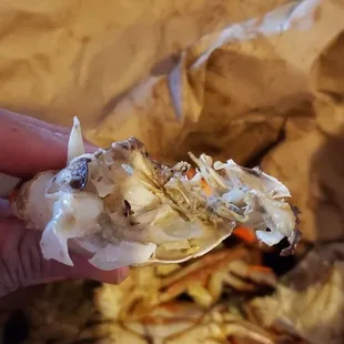 a person holding a crab