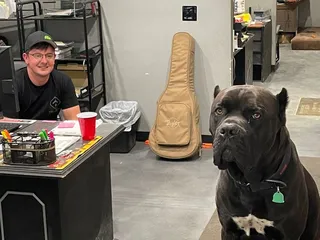 Diesel Power & Performance