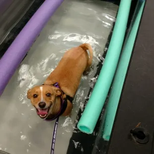 Eugene having fun during physical therapy!