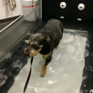 Physical Therapy with Eugene!