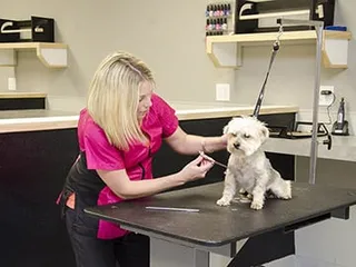 Sydney's Pet Resort