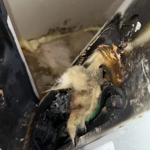 Burnt wiring and heating element.
