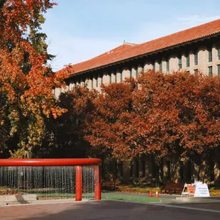 green lib