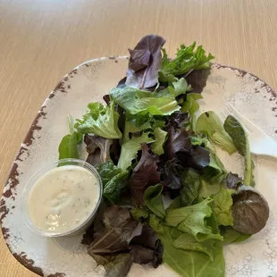 Side salad with vegan aioli as the dressing.