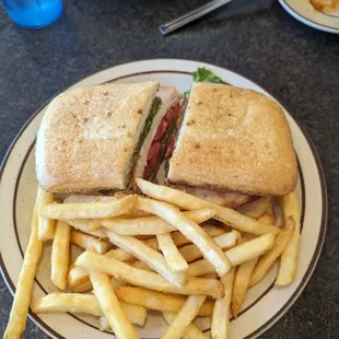 Turkey panini with fries