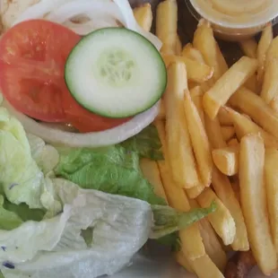 Gyro plate