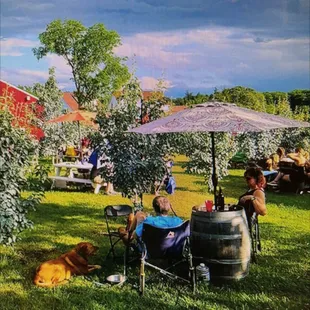 Dog and kid friendly too. Picture is from there website. You should check out the website has all the information you need