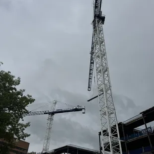 Crane