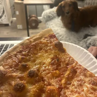 a dog looking at a slice of pizza