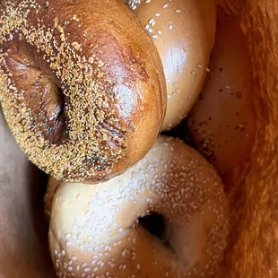 a variety of bagels