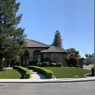Front yard artificial turf
