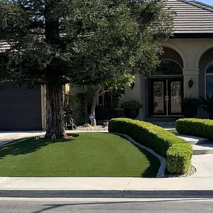 Front yard artificial turf