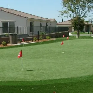 Golf Course from Courts &amp; Greens