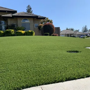 Front yard artificial turf