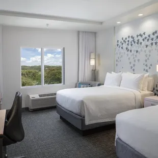 Queen/Queen Guestroom