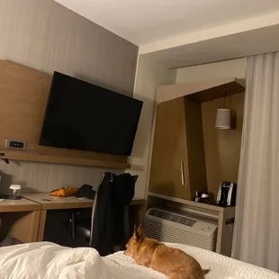 View from the bed. :/