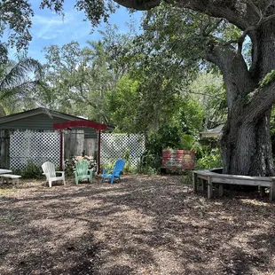 a picnic table and chairs under a tree