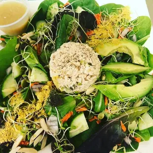 Spinach Harvest Salad