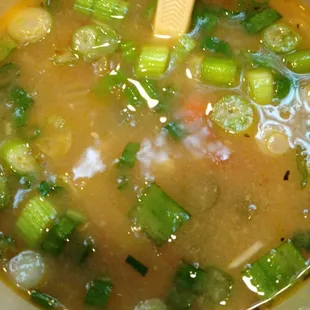 Chicken vegetables soup topped with green onion.