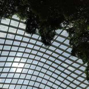 Courtyard ceiling